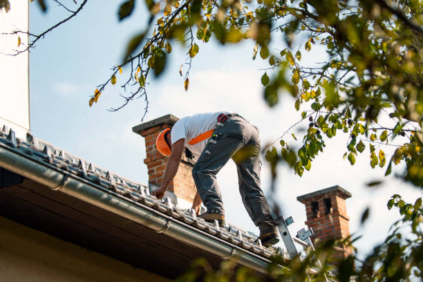 Best Gutter Installation and Roofing  in Buffalo, WY